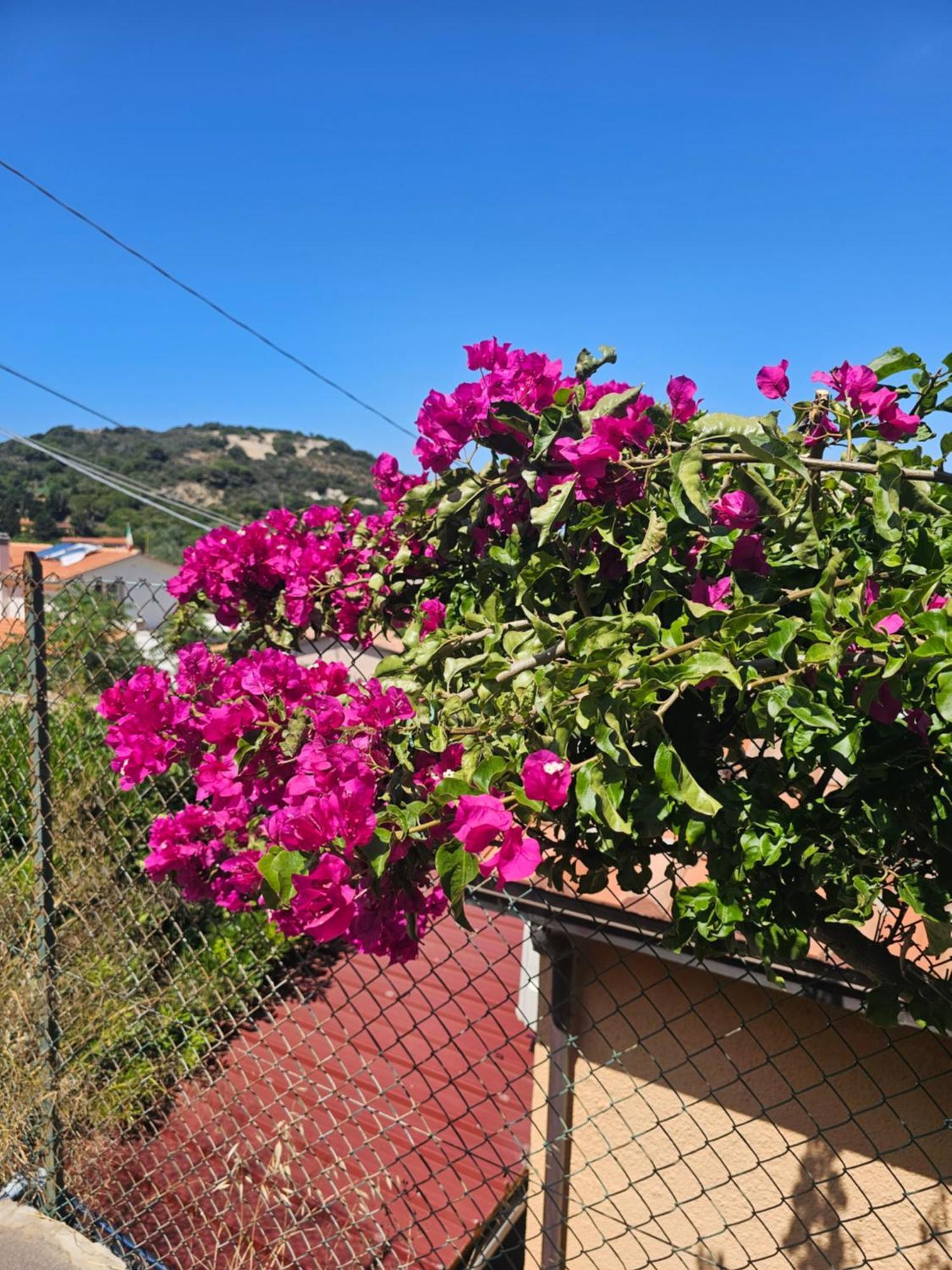 Azzurro Mare Holiday home *